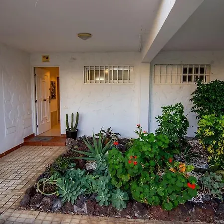 Donna Ida Apartman Costa Del Silencio